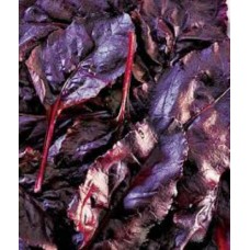 Organic Beetroot Bulls Blood