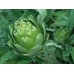 Organic Artichoke Imperial Star