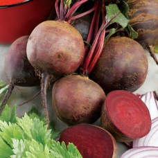 Organic Beetroot Jannis