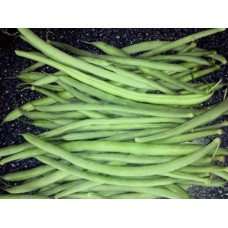 Organic Beans Climbing French Cobra