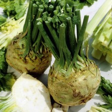 Organic Celeriac Ibis