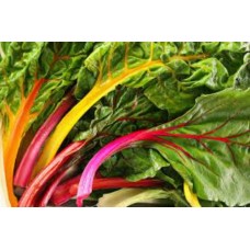 Organic Chard Rainbow 