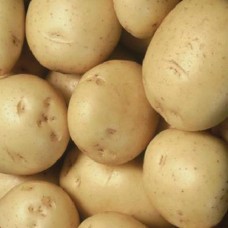 Organic Colleen Potatoes