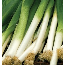 Organic Leek Bandit