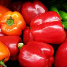 Organic Peppers Sweet Tamar Mix