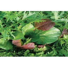 Organic Oriental Mix Organic Oriental Mix