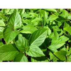 Organic Basil, Cinnamon