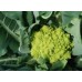 Cauliflower - Romanesco 'Veronica F1'