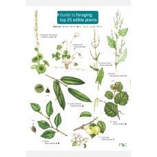 A Guide to foraging 