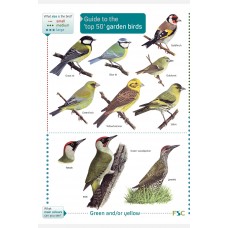 A Guide to the top 50 garden birds