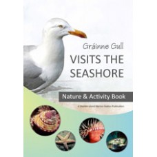 Gráinne Gull Visits the Seashore