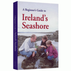 A Beginner's Guide to Ireland's Seashore