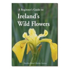 A Beginner's Guide to ireland's Wildflowers