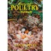 Backyard Poultry, Naturally - Alanna Moore