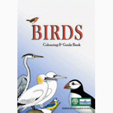 Birds Colouring and Guide Book