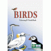 Birds Colouring and Guide Book