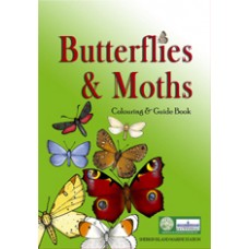 Butterflies and Moths Colouring and Guide Book