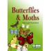 Butterflies and Moths Colouring and Guide Book