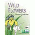 Wild Flowers Colouring and Guide Book