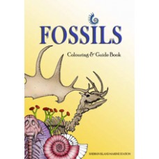 Fossils Colouring and Guide Book