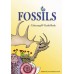 Fossils Colouring and Guide Book