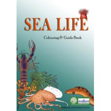 Sea Life Colouring and Guide Book