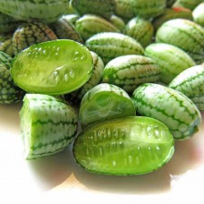 Cucumber- Cucamelon