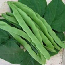 French Bean - 'Helda' - Organic
