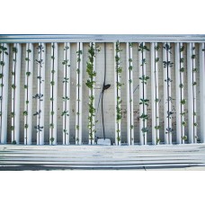 Basic Hydroponics for Beginners - Saturday 7th October 2023