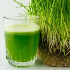 Organic Wheatgrass Grain 1Kg