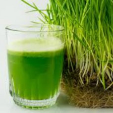 Wheatgrass Grain 1Kg