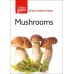 Guide to Mushrooms - Collins Gem