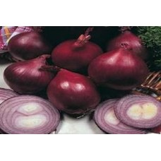 Organic Onion Red Baron