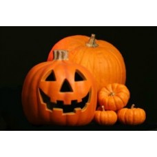 Organic Squash/Pumpkin Jack O' Lantern