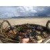 A Beginner's Guide to Ireland's Seashore
