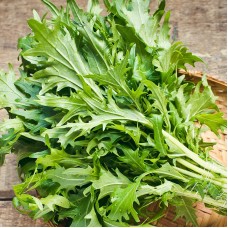 Organic Oriental Mizuna