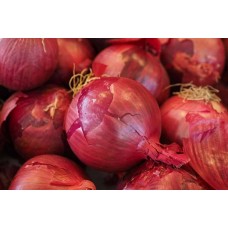 Red Onion Sets Red Baron - Certified Organic 250g