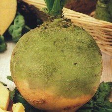 Organic Swede Wilhelmsburger