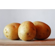 VITABELLA - Organic early/second early seed potatoes 2KG