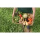 Eco-store - Food Eco-store - Food