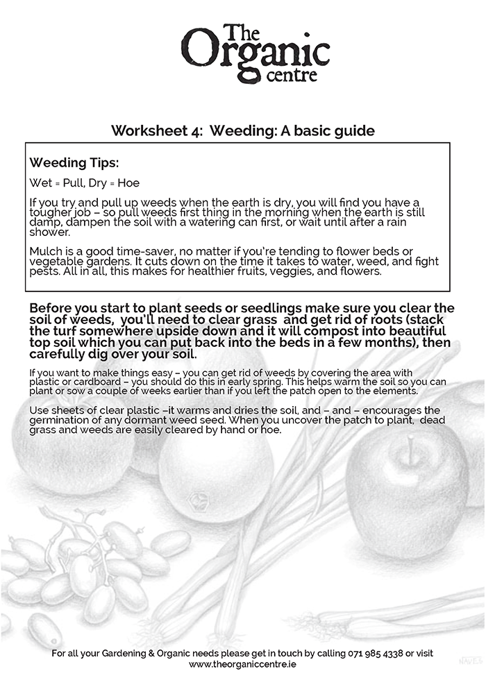 Worksheet 4: Weeding: A basic guide