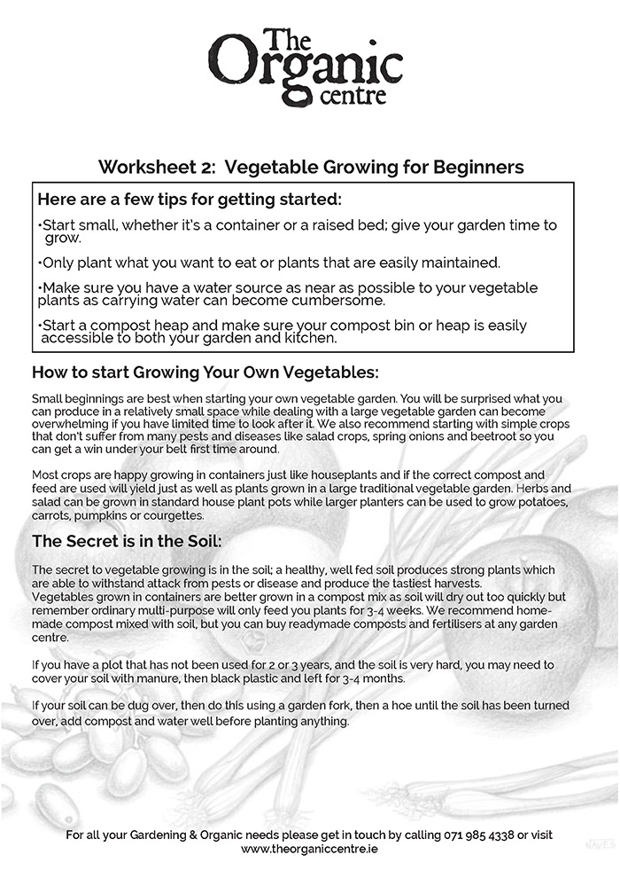 Worksheet 2: Vegetable Growing for Beginners