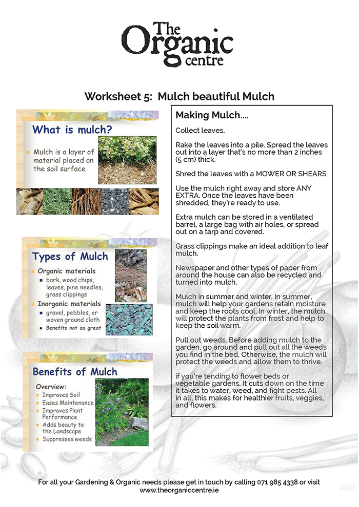 Worksheet 5: Mulch beautiful Mulch