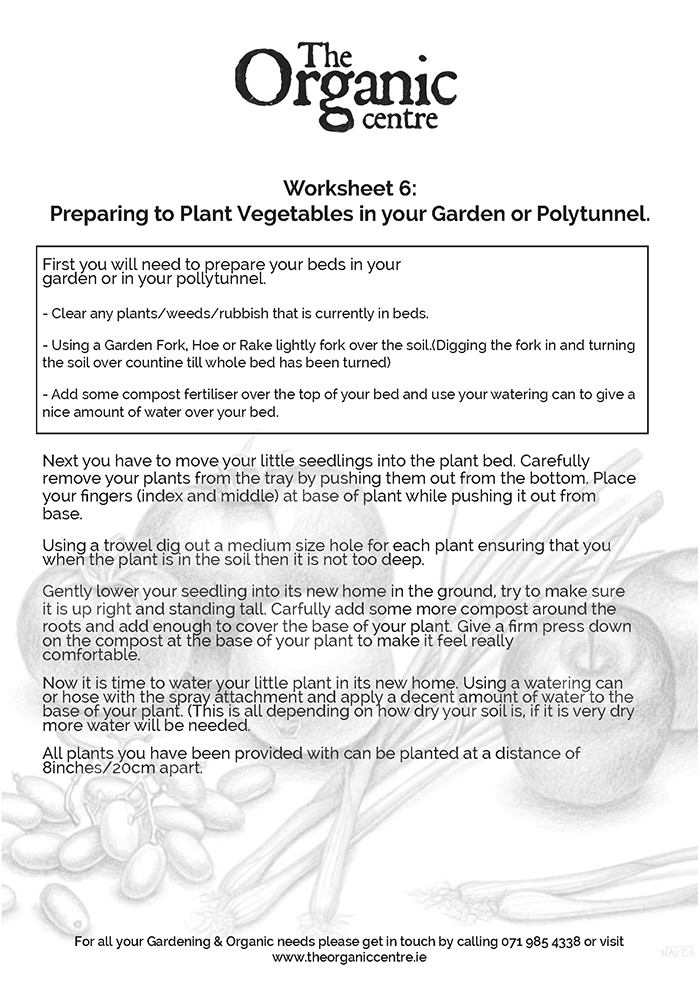 Worksheet 6: Preparing to Plant Vegetables in your Garden or Polytunnel.